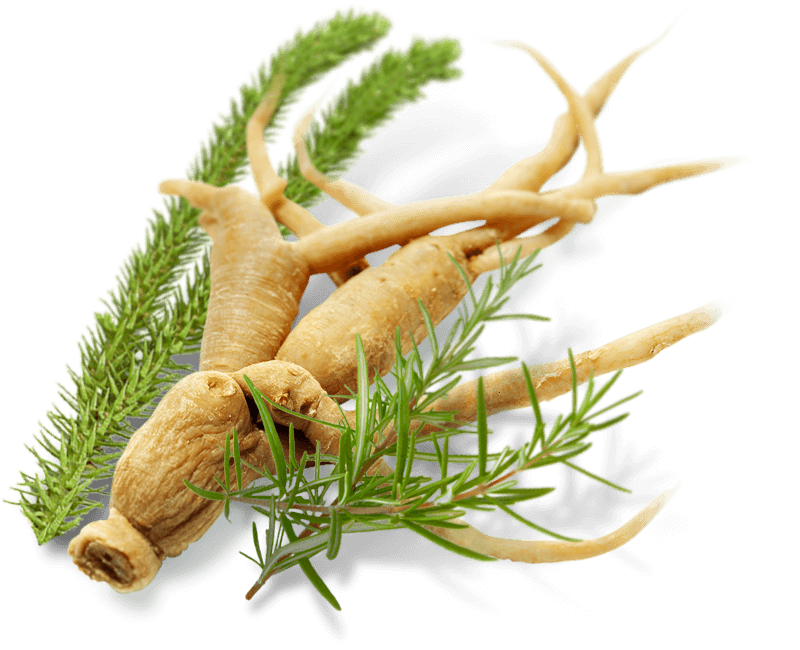 Nooflow™ Absolute Mind - 100% Natural Ingredients